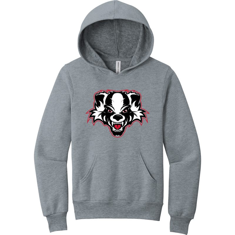 Scary Badgers Youth Sponge Fleece Pullover Hoodie