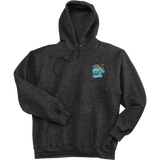 Atlantic City Seals Ultimate Cotton - Pullover Hooded Sweatshirt