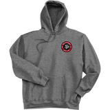 South Pittsburgh Rebellion Ultimate Cotton - Pullover Hooded Sweatshirt