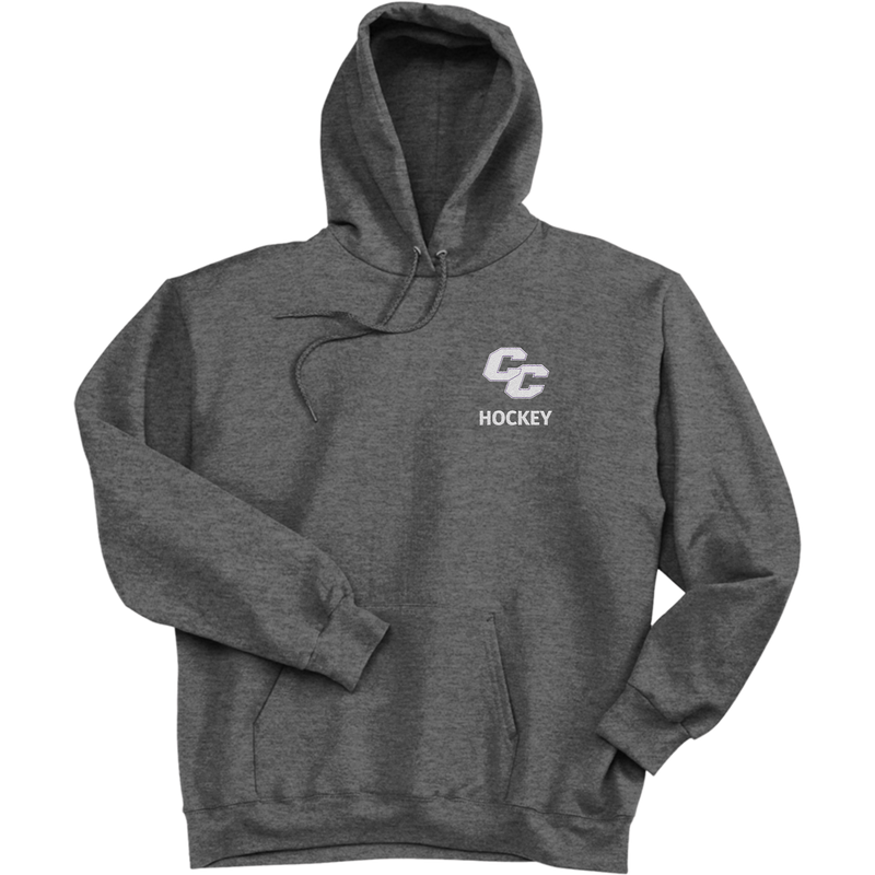 Curry College Ultimate Cotton - Pullover Hooded Sweatshirt