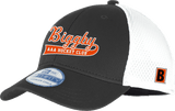 Biggby Coffee AAA New Era Youth Stretch Mesh Cap