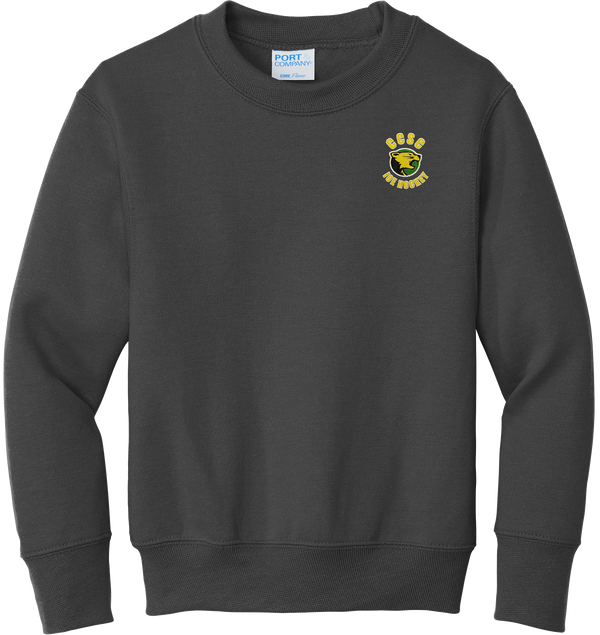 Chester County Youth Core Fleece Crewneck Sweatshirt